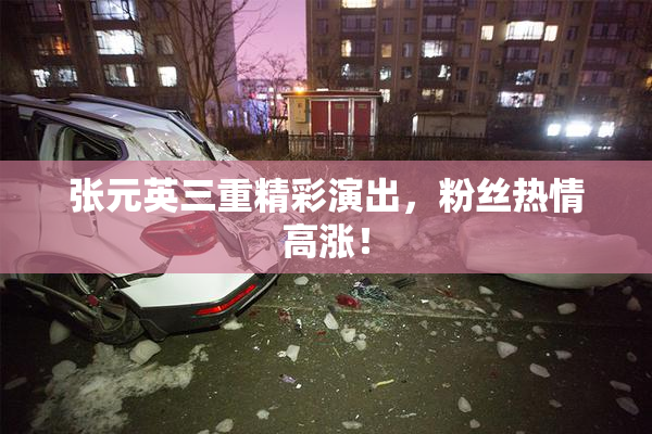 张元英三重精彩演出，粉丝热情高涨！