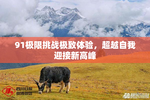 91极限挑战极致体验，超越自我迎接新高峰