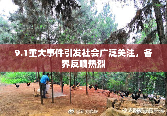 9.1重大事件引发社会广泛关注，各界反响热烈