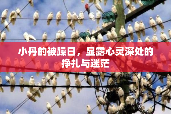 小丹的被躁日，显露心灵深处的挣扎与迷茫