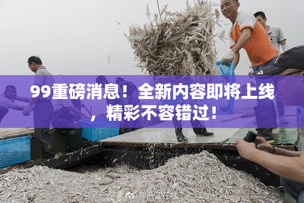 99重磅消息！全新内容即将上线，精彩不容错过！