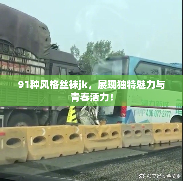 91种风格丝袜jk，展现独特魅力与青春活力！