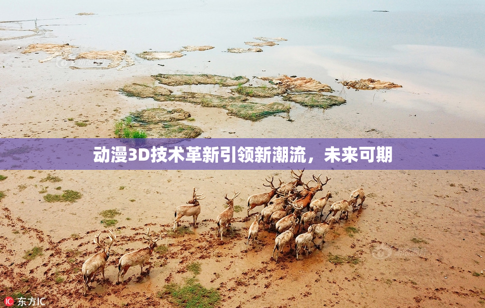 动漫3D技术革新引领新潮流，未来可期