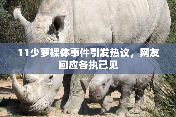 11少萝裸体事件引发热议，网友回应各执己见