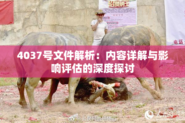 4037号文件解析：内容详解与影响评估的深度探讨