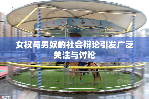 女权与男奴的社会辩论引发广泛关注与讨论