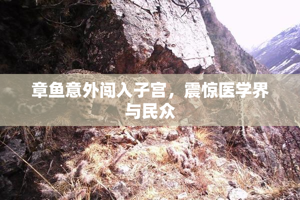 章鱼意外闯入子宫，震惊医学界与民众