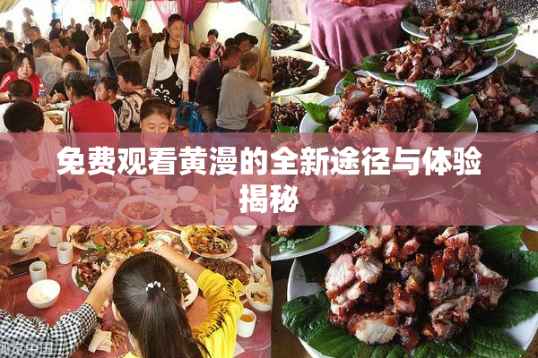 免费观看黄漫的全新途径与体验揭秘