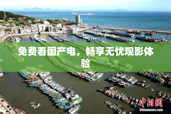 免费看国产电，畅享无忧观影体验