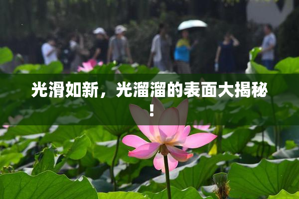 光滑如新，光溜溜的表面大揭秘！