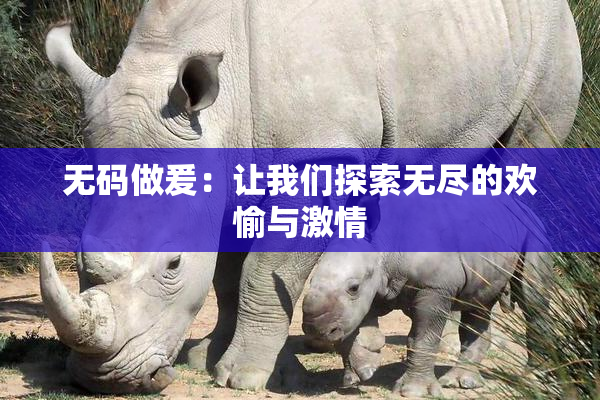无码做爰：让我们探索无尽的欢愉与激情