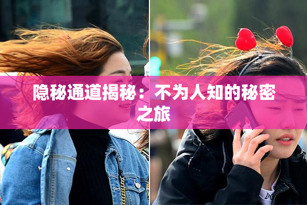 隐秘通道揭秘：不为人知的秘密之旅