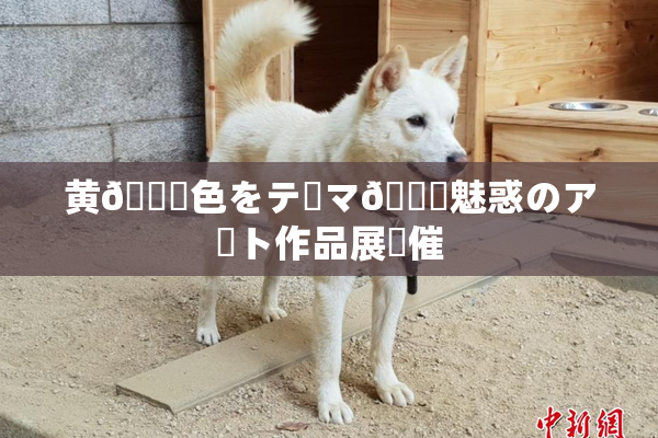 黄🎆色をテーマ🎆魅惑のアート作品展開催