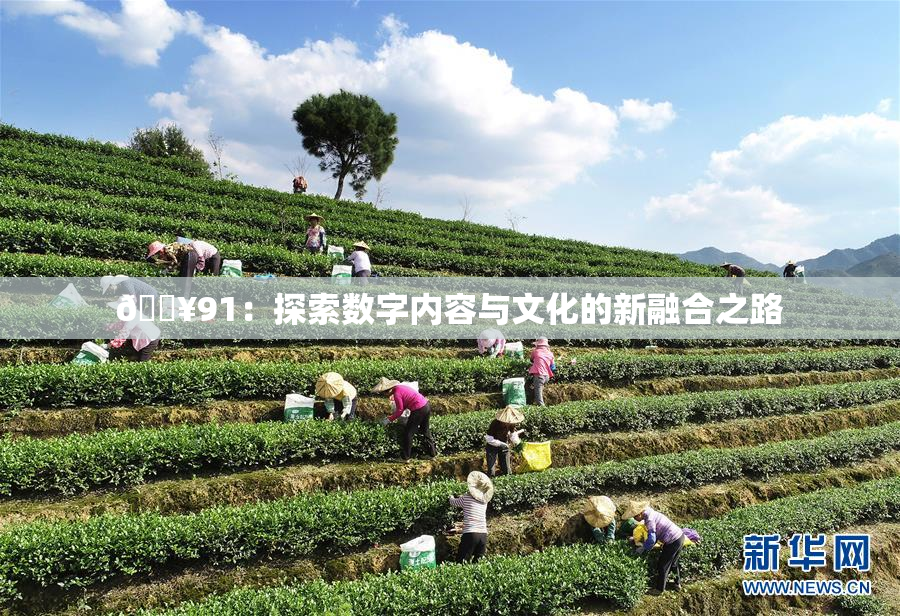 🔥91：探索数字内容与文化的新融合之路