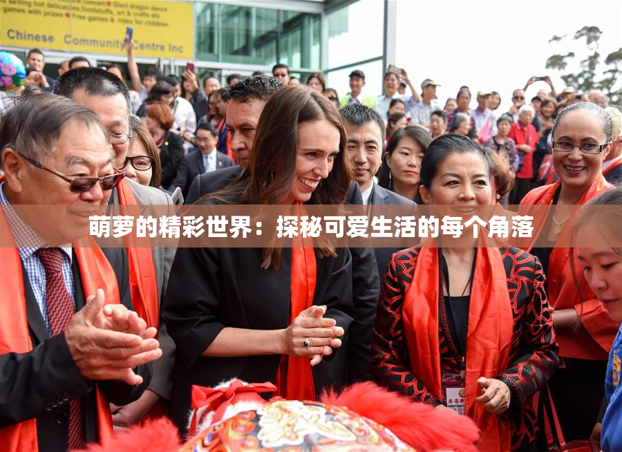 萌萝的精彩世界：探秘可爱生活的每个角落