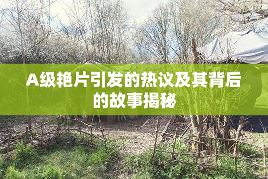A级艳片引发的热议及其背后的故事揭秘