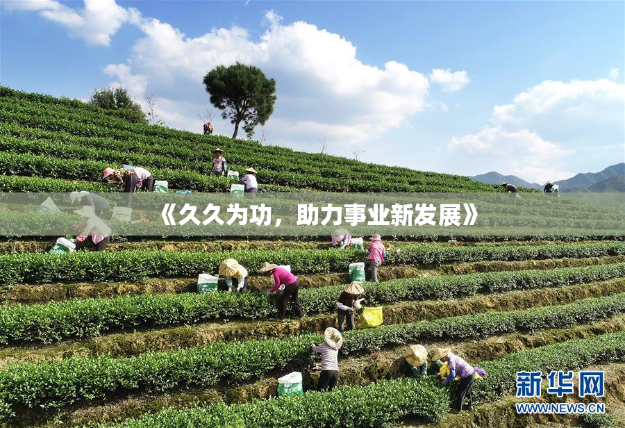 《久久为功，助力事业新发展》