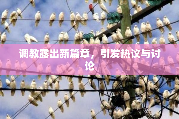 调教露出新篇章，引发热议与讨论