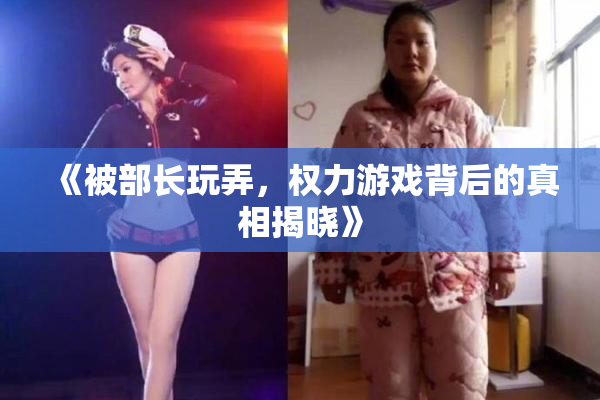 《被部长玩弄，权力游戏背后的真相揭晓》
