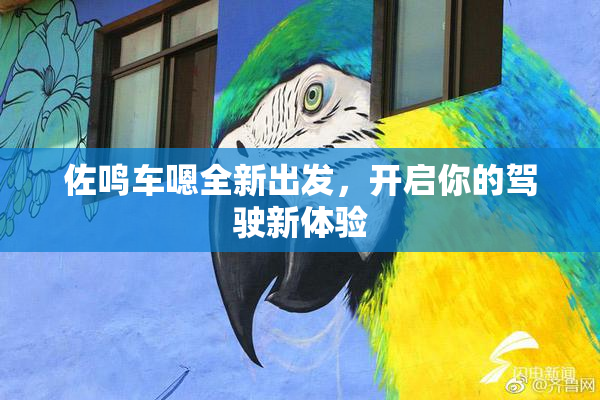 佐鸣车嗯全新出发，开启你的驾驶新体验