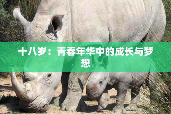 十八岁：青春年华中的成长与梦想