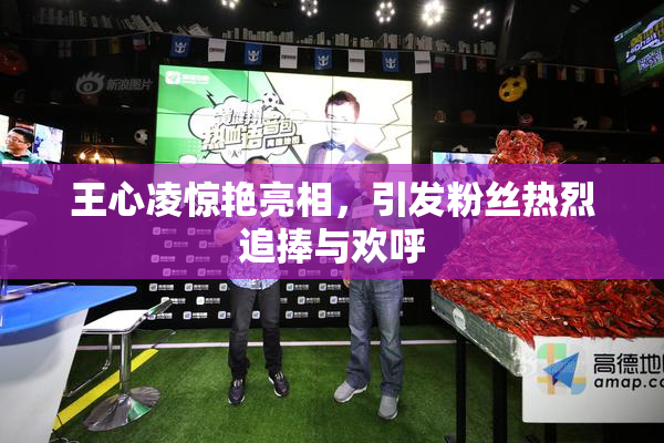 王心凌惊艳亮相，引发粉丝热烈追捧与欢呼