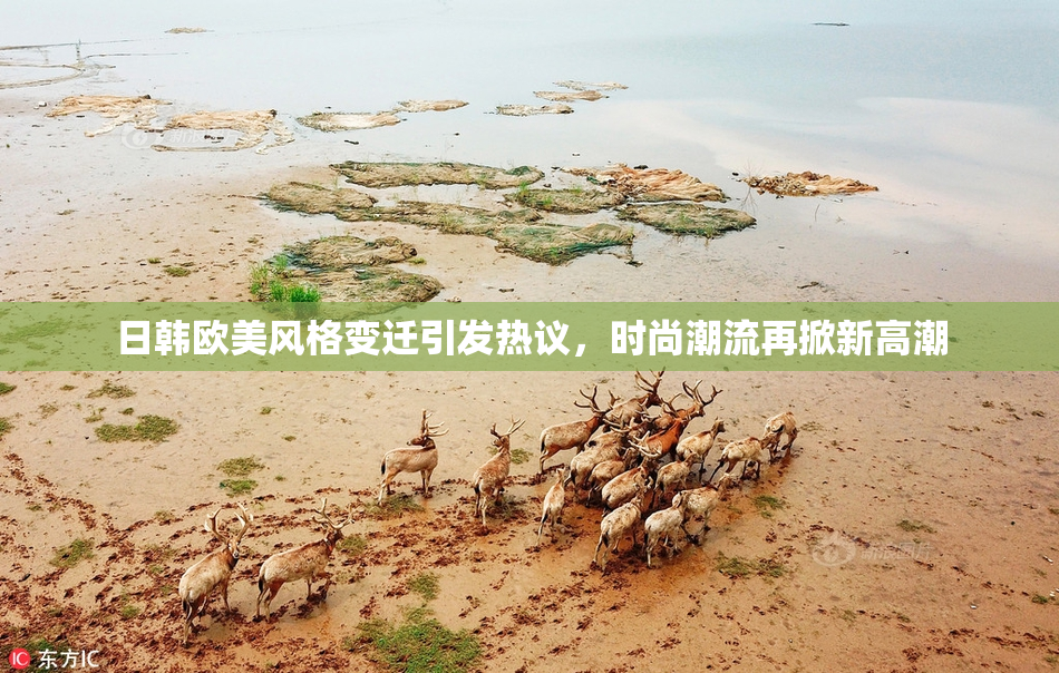 日韩欧美风格变迁引发热议，时尚潮流再掀新高潮