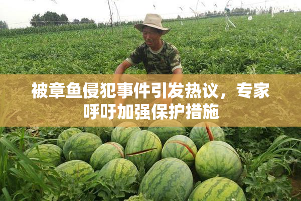 被章鱼侵犯事件引发热议，专家呼吁加强保护措施