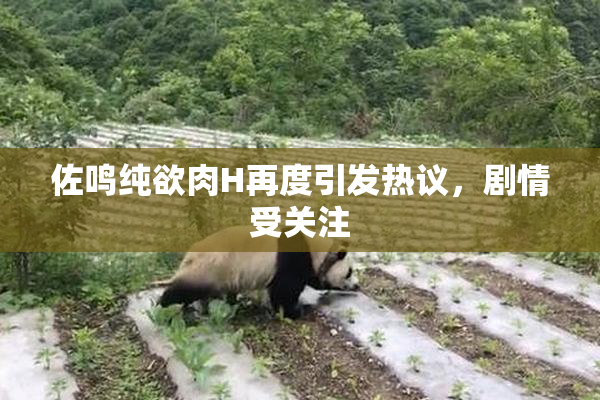 佐鸣纯欲肉H再度引发热议，剧情受关注