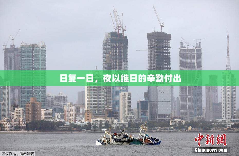 日复一日，夜以继日的辛勤付出