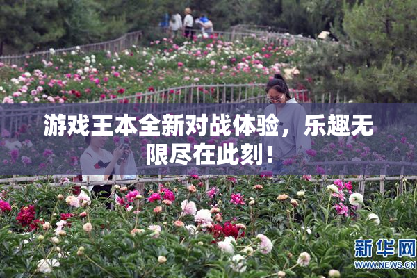 游戏王本全新对战体验，乐趣无限尽在此刻！