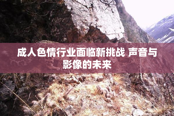 成人色情行业面临新挑战 声音与影像的未来