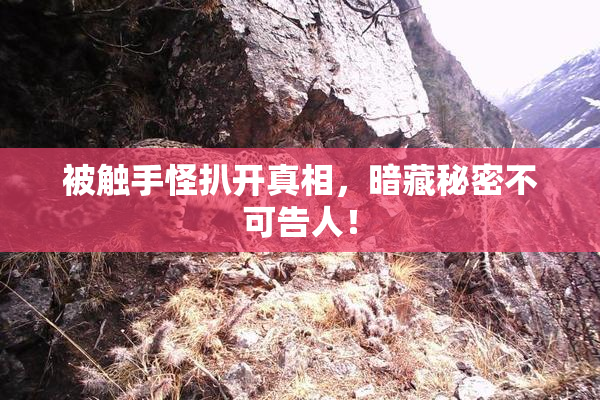 被触手怪扒开真相，暗藏秘密不可告人！