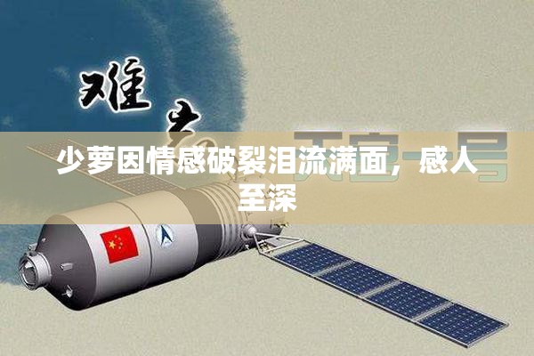 少萝因情感破裂泪流满面，感人至深