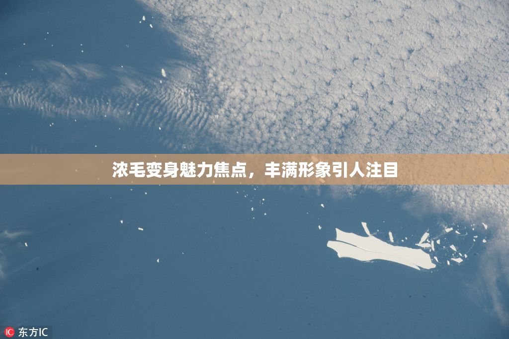 浓毛变身魅力焦点，丰满形象引人注目