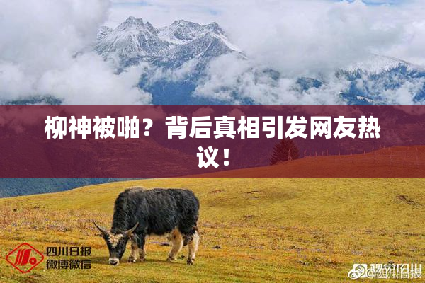 柳神被啪？背后真相引发网友热议！