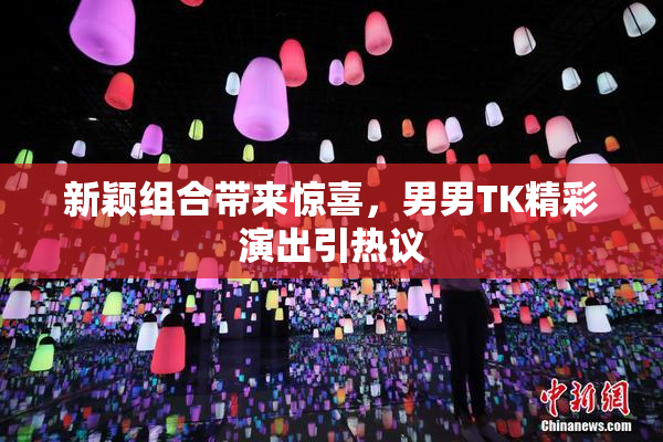 新颖组合带来惊喜，男男TK精彩演出引热议