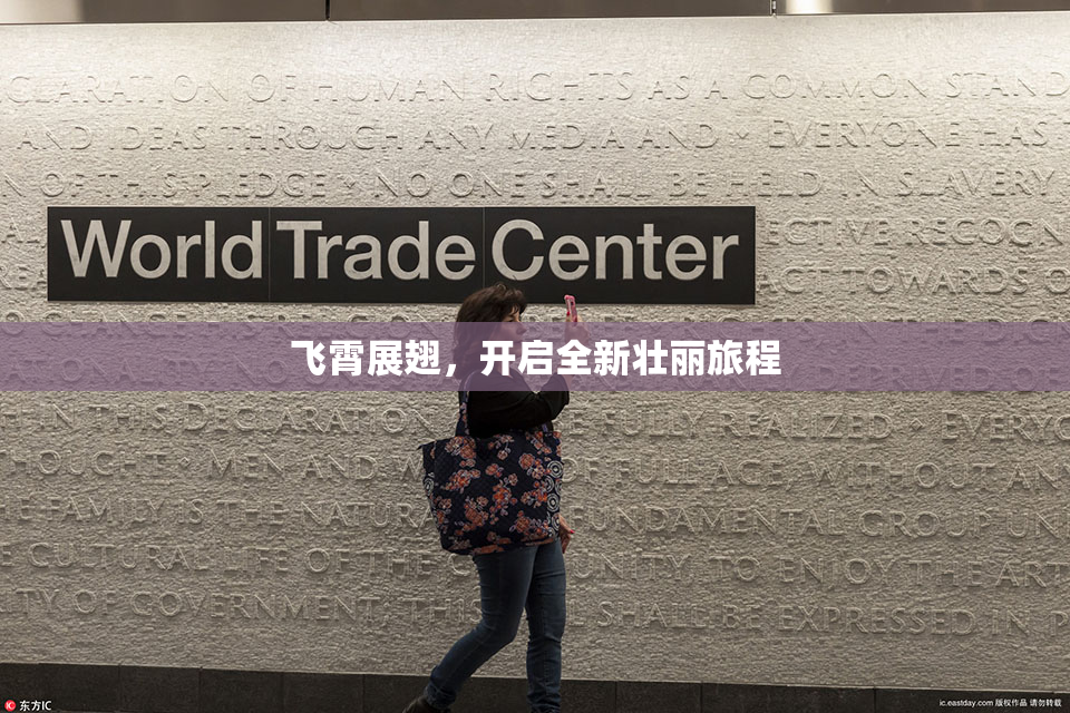飞霄展翅，开启全新壮丽旅程