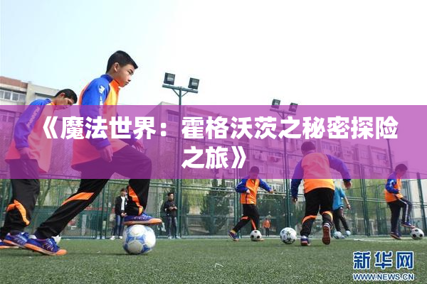 《魔法世界：霍格沃茨之秘密探险之旅》