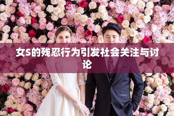 女S的残忍行为引发社会关注与讨论