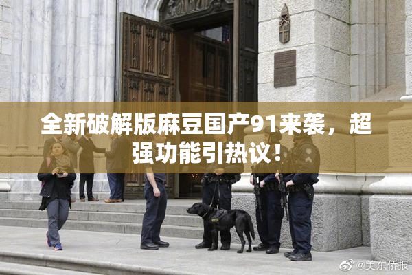 全新破解版麻豆国产91来袭，超强功能引热议！