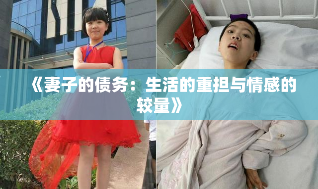 《妻子的债务：生活的重担与情感的较量》