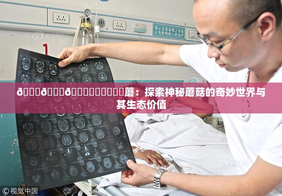 🍆🍑🔞❌‌❌‌❌‌蘑：探索神秘蘑菇的奇妙世界与其生态价值