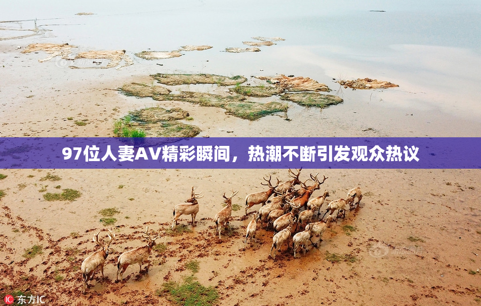 97位人妻AV精彩瞬间，热潮不断引发观众热议