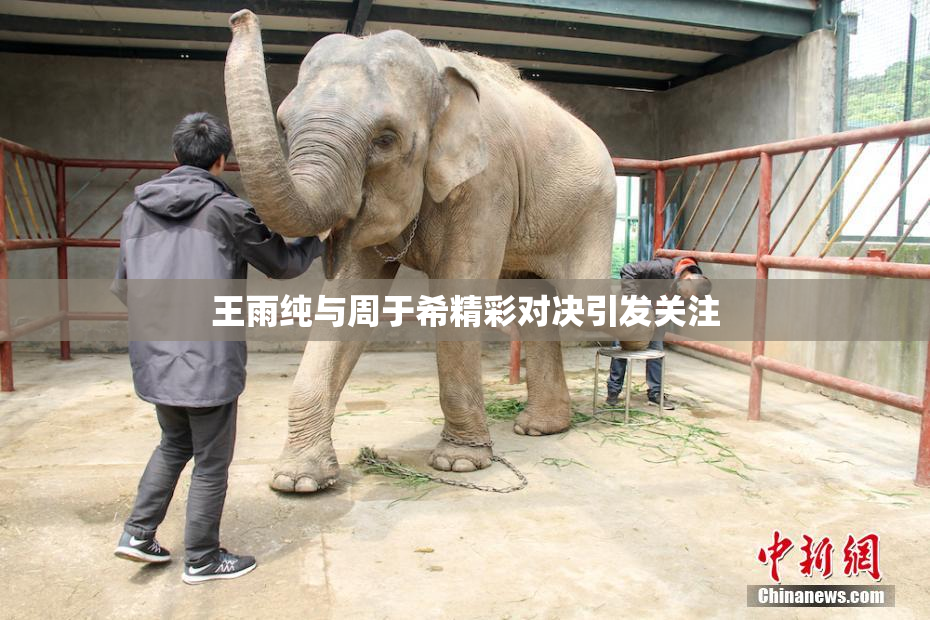 王雨纯与周于希精彩对决引发关注