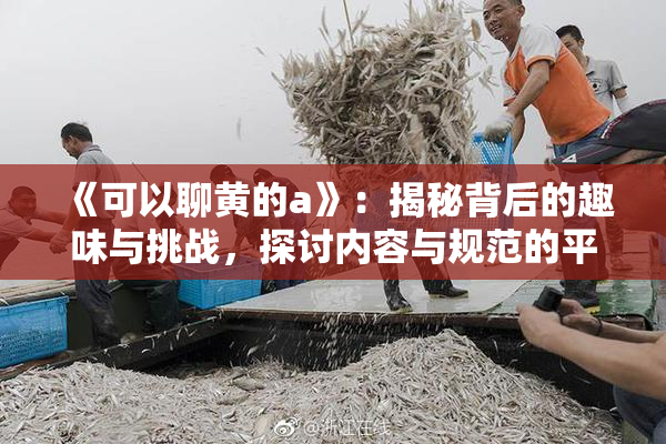 《可以聊黄的a》：揭秘背后的趣味与挑战，探讨内容与规范的平衡