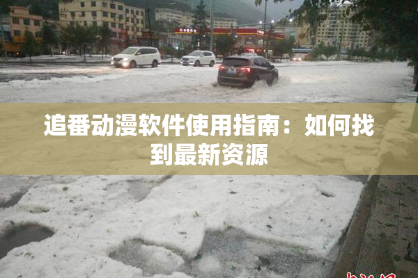 追番动漫软件使用指南：如何找到最新资源