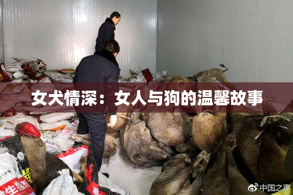 女犬情深：女人与狗的温馨故事