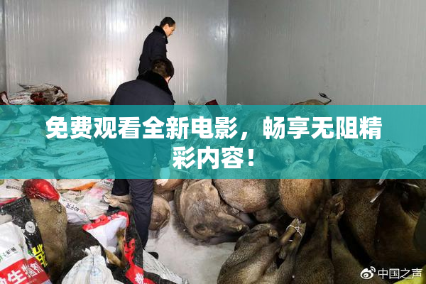 免费观看全新电影，畅享无阻精彩内容！