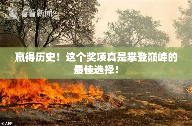 赢得历史！这个奖项真是攀登巅峰的最佳选择！